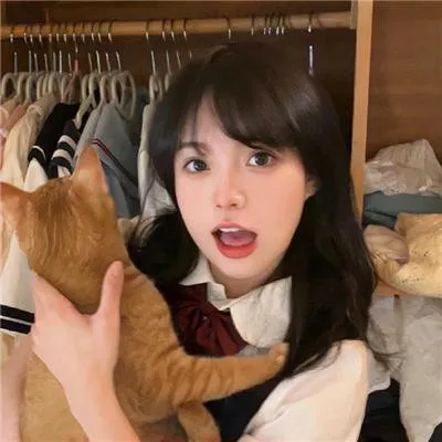 大地资源网26